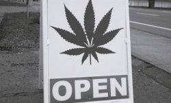 sign-in-front-of-weed-dispensary